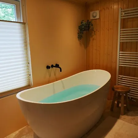 The Sunbird Inn - Luxury Cabin, Sauna And Fireplace Chalet Diessen