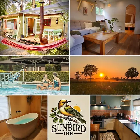 The Sunbird - With Bathtub, Sauna And Fireplace Chalet Diessen